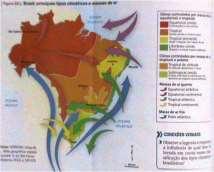 vertente de um verdadeiro educador como àquele que contribui para autonomia, criatividade e senso crítico do educando, portanto a prática docente não representa apenas seguir o currículo, mas além de