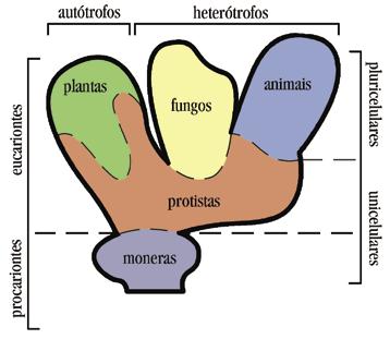 unicelulares Uni