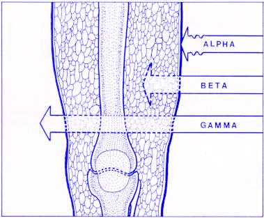 EFEITOS BIOLÓGICOS DA RADIAÇÃO Os efeitos biológicos da radiação dependem de: - dose de radiação absorvida - tipo de radiação absorvida (factor de qualidade-q) - tempo de exposição à radiação - parte