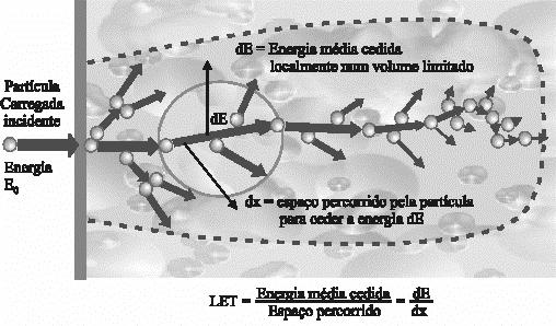 7. Relação entre Exposição e Actividade Podemos relacionar Exposição e Actividade se: fonte pontual (suficientemente pequena). atenuação no percurso até ao ponto da medição desprezável.