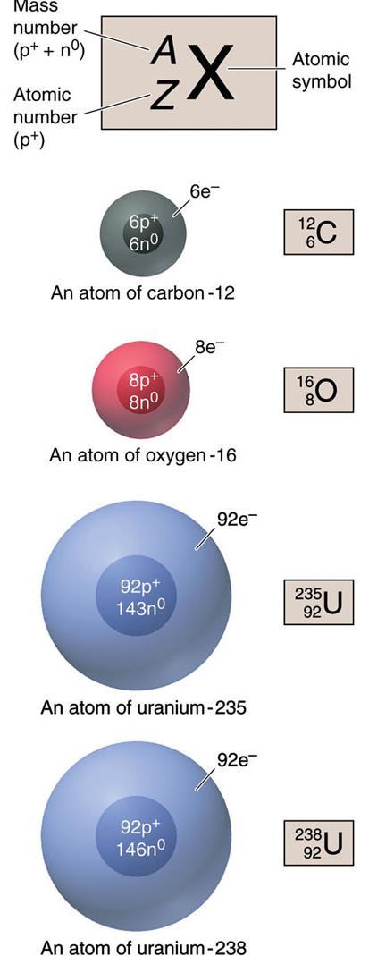 A estrutura atômica na visão moderna 16 Símbolos atômicos, isótopos, números de massa A Z J The Symbol of the Atom or Isotope J = Atomic symbol of the element A = mass number; A = Z + N Z