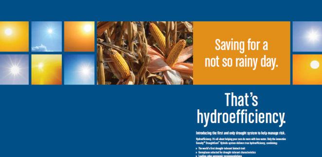 Genuity DroughtGard Eficiência Hídrica: a planta de milho produz mais com menos água,