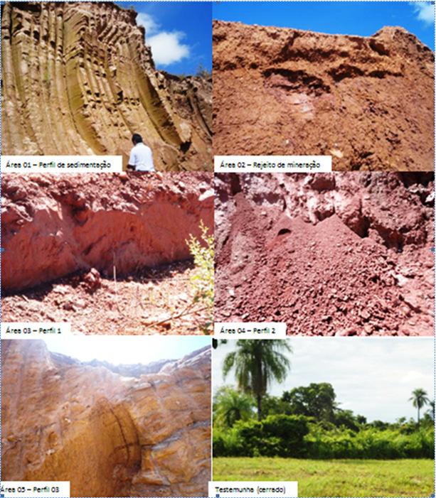 Nesse estudo foram escolhidas seis áreas (Figura 2): Área 01 Perfil de Sedimentação; Área 02 Rejeito de Mineração; Área 03 Perfil 1; Área 04 Perfil 2; Área 05 Perfil 03; e Área Testemunho (cerrado).