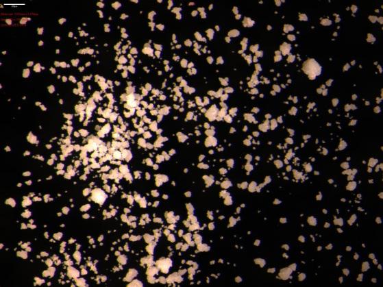 Pelas micrografias apresentadas, verifica-se que as partículas dos catalisadores não apresentaram forma definida, sendo