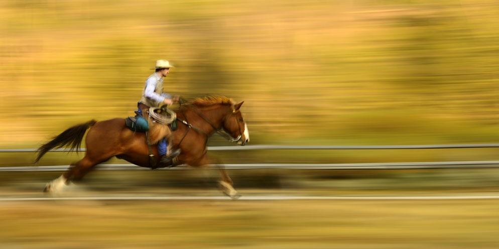 "O recurso VR (Redução de Vibração) em várias lentes NIKKOR torna a técnica para tirar fotos em movimento muito mais consistente e muito mais fácil de ser executada," diz Dave, "e sua porcentagem de