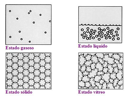 Estrutura do