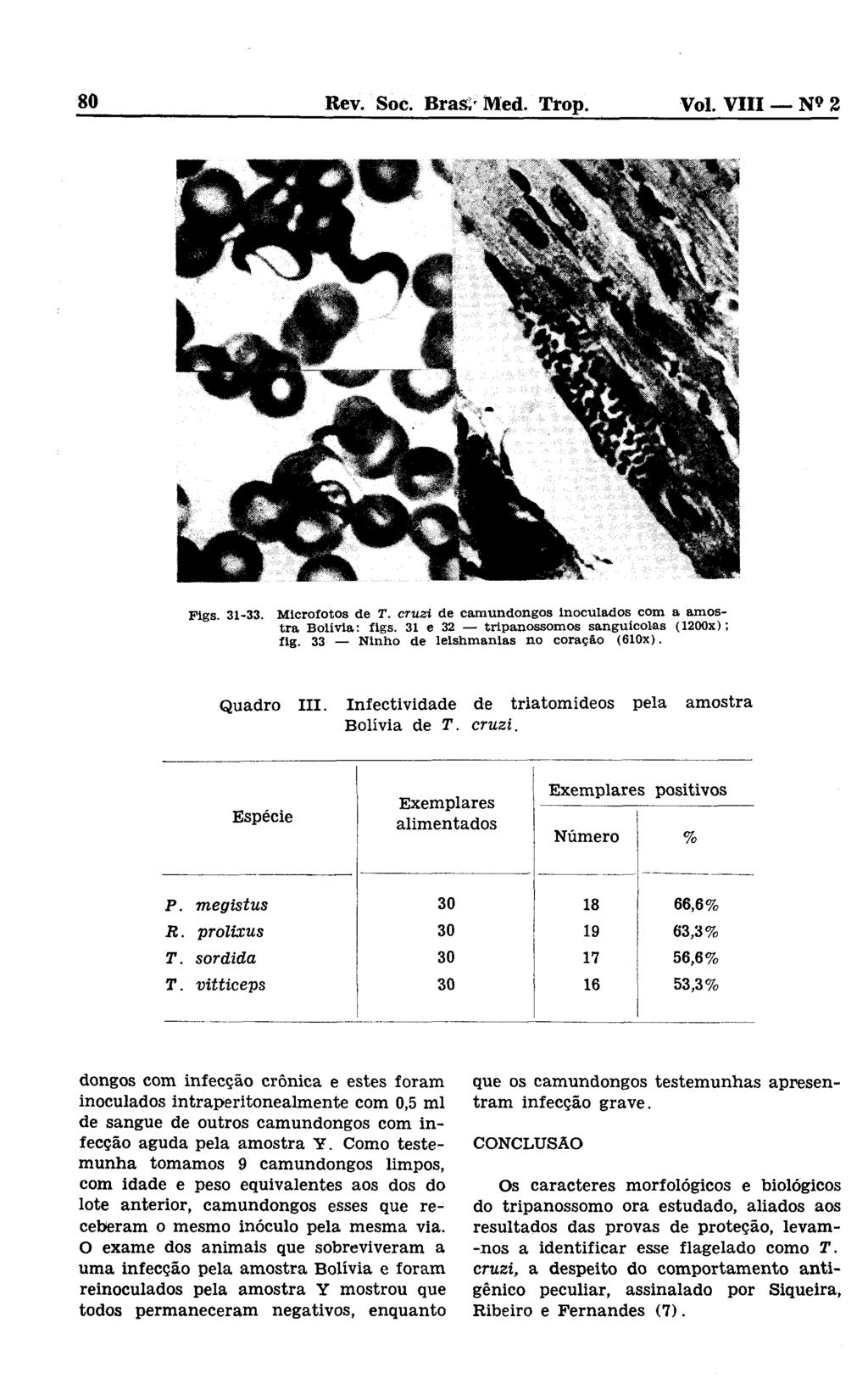 80 Bev. Soc. Bras/ Med. Trop. Vol. VIII N» 2 Figs. 31-33. M lcrofotos de T. cru zi de cam undongos Inoculados com a am ostr a B olívia: flgs. 31 e 32 tripanossom os sanguícolas (1200x); flg.
