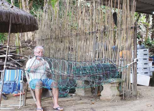 Em relação a percepção de mercado a vieira é bem apreciada. As vieiras produzidas nessa região são denominadas Vieiras da Baía da Ilha Grande.