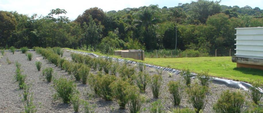 Jardins Filtrantes Aplicável para tratar: Esgotos domésticos e efluentes industriais Composto