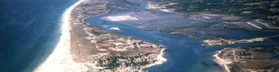 2. PORTUGAL E A CONVENÇÃO Sítio Ramsar: Ria Formosa Data de