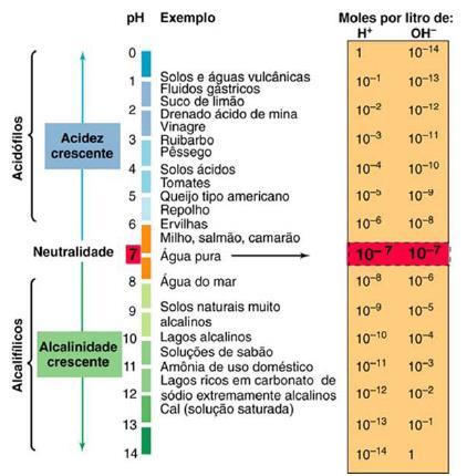 » Medida da acidez ou alcalinidade de um alimento.