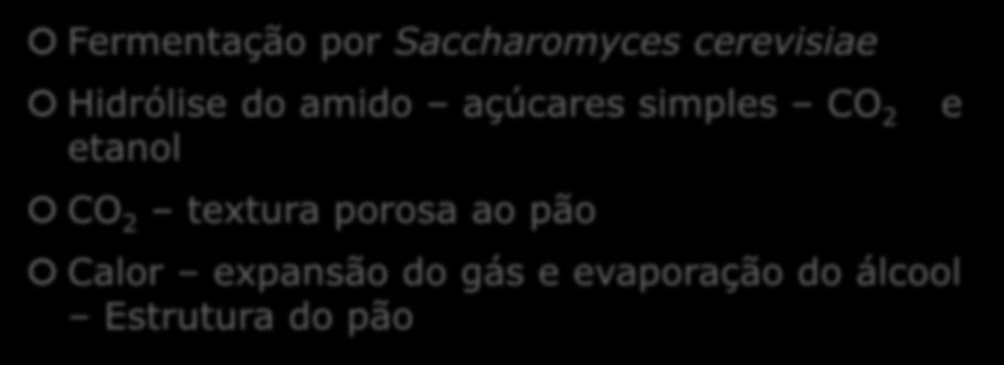 Produção de pão Fermentação por Saccharomyces cerevisiae Hidrólise do amido açúcares simples CO 2