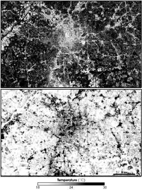 14 - (UNICAMP SP) O buraco da camada de ozônio transformou mais uma vez em pesadelo a vida de 120 mil habitantes de Punta Arenas, no sul do Chile.