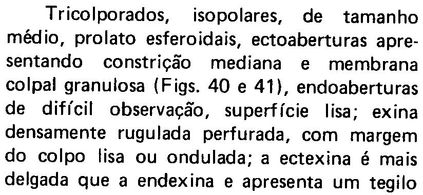 médio, prolato esferoidais, ectoaberturas apresentando constrição mediana e membrana colpal granulosa (Figs.