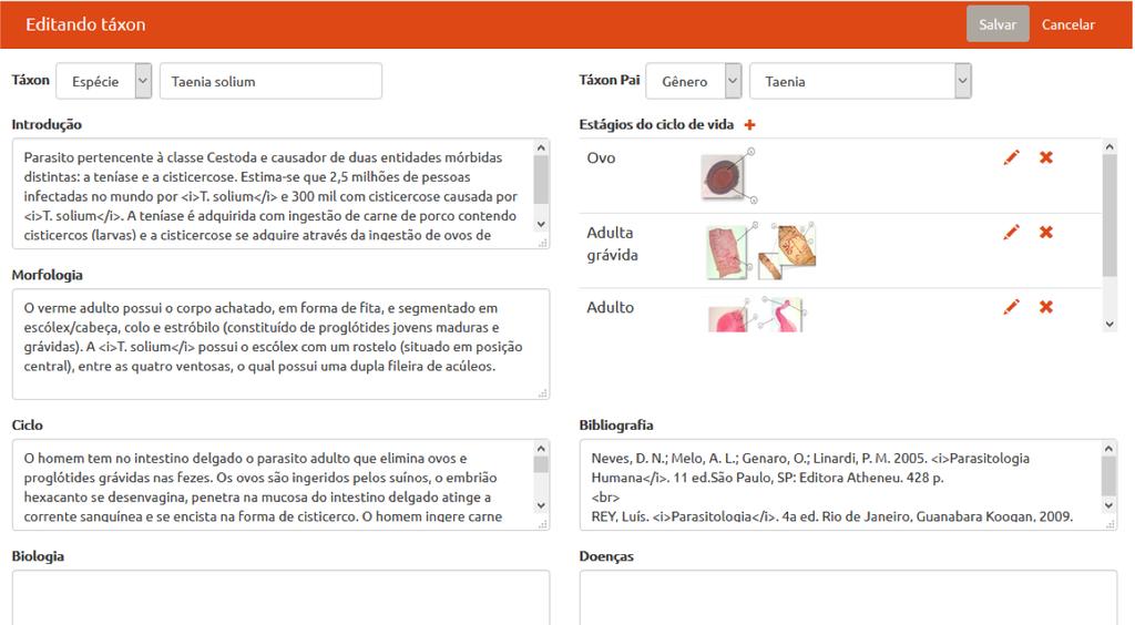 O projeto de interface com usuário do atlas virtual contemplou características importantes.