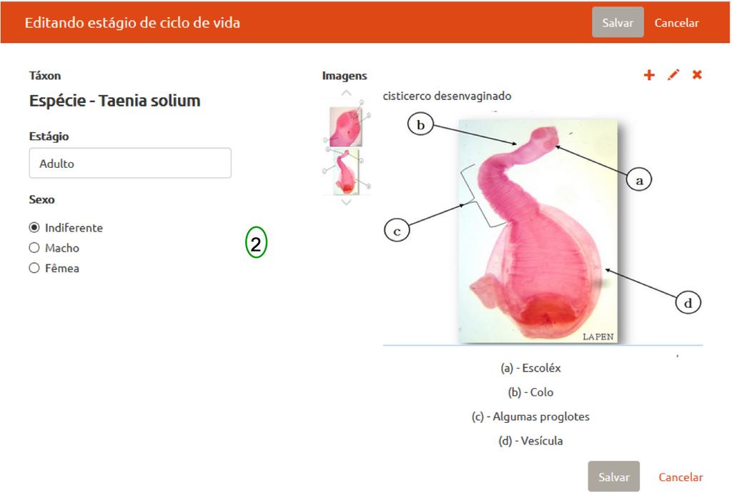 momento. Isso contribui para a eficiência de uso e sua satisfação (Nielsen, 1993).