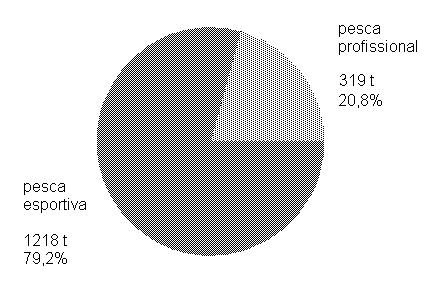 Sistema de Controle da Pesca de Mato Grosso do Sul SCPESCA/MS 6-1999 18 Pesca Profissional e Esportiva Agrupadas Informações sobre a "estimativa de captura" da pesca profissional, deduzidas em função