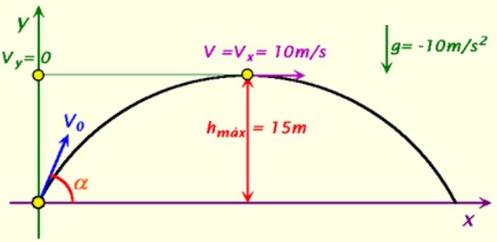 ATIVIDADES Um projétil é lançado do solo numa direção que forma u m ângulo com a horizontal.