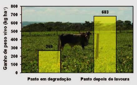 61 invés de perda de peso, comum neste período do ano, na maioria das fazendas do cerrado (VILELA et al., 2011). Dados de Vilela et al.