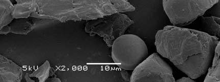 Como pode ser observado, este histograma exibe uma distribuição monomodal entre 15 e 75 nm, apresentando um máximo em 55 nm. Baldwin et al.