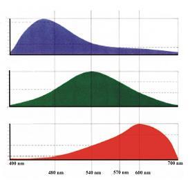 vermelho (R, red), verde (G, green) e Azul (B, blue), a chamada tricromaticidade.