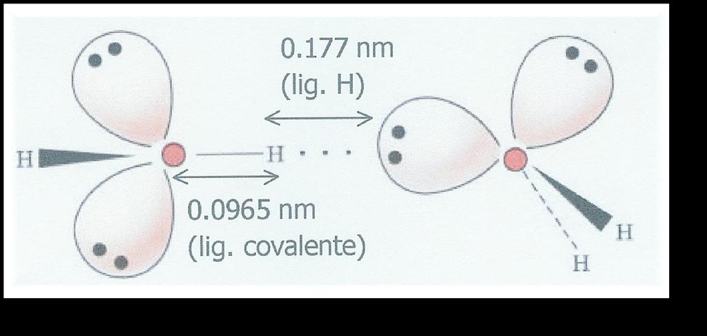 As pontes de hidrogénio na água: Devido à diferença de eletronegatividade do e, os átomos de de uma molécula de água são atraídos