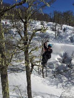 Você começará desde o bosque de lengas até chegar ao platô, onde encontra-se o glaciar do vulcão Mocho-Choshuenco, para ﬁnalmente descer por um diver do fora da pista até os pés do imponente vulcão