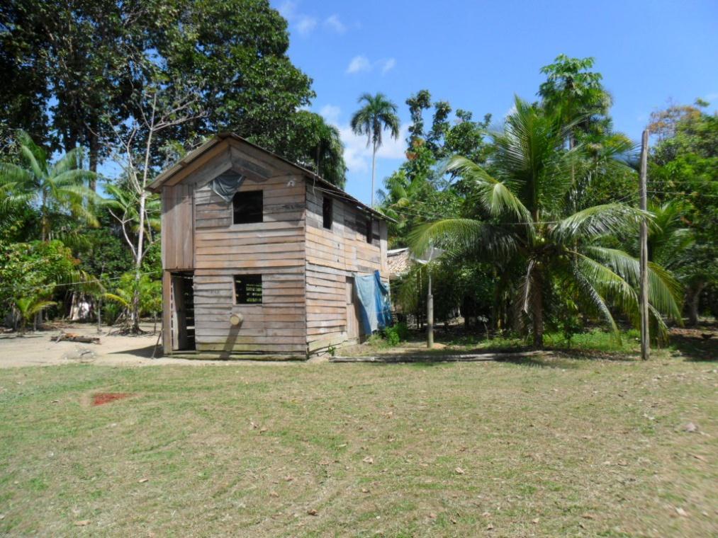 Culturas agrícolas e árvores nativas e exóticas de múltiplos usos A atuação da mulher no manejo deste sistema possui grande importância Quintal na aldeia Aru, TI Kwatá-Laranjal,