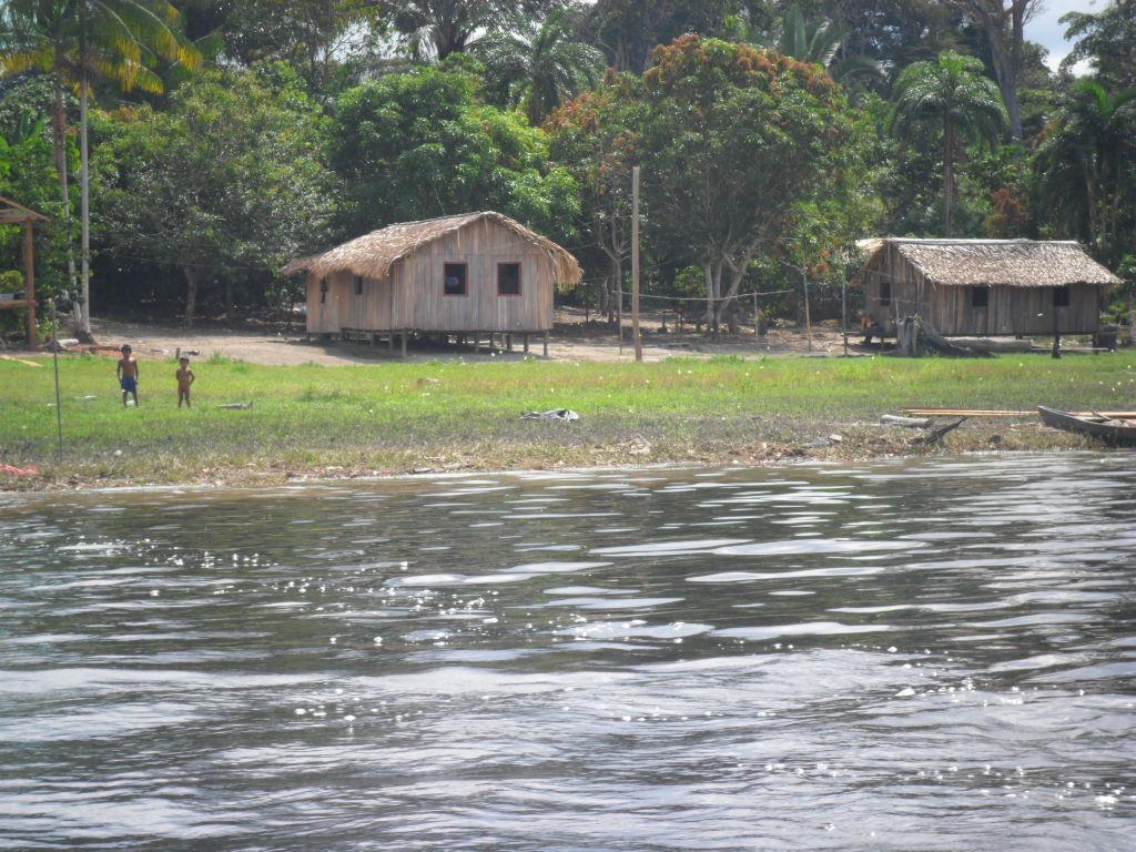 Objetivo Caracterizar os quintais agroflorestais em área de terra-firme da Terra Indígena Kwatá-Laranjal, Amazonas, quanto à composição florística arbustivo-arbórea, assim como verificar se o manejo