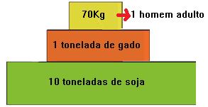 Pirâmides ecológicas ou de energia A pirâmide de