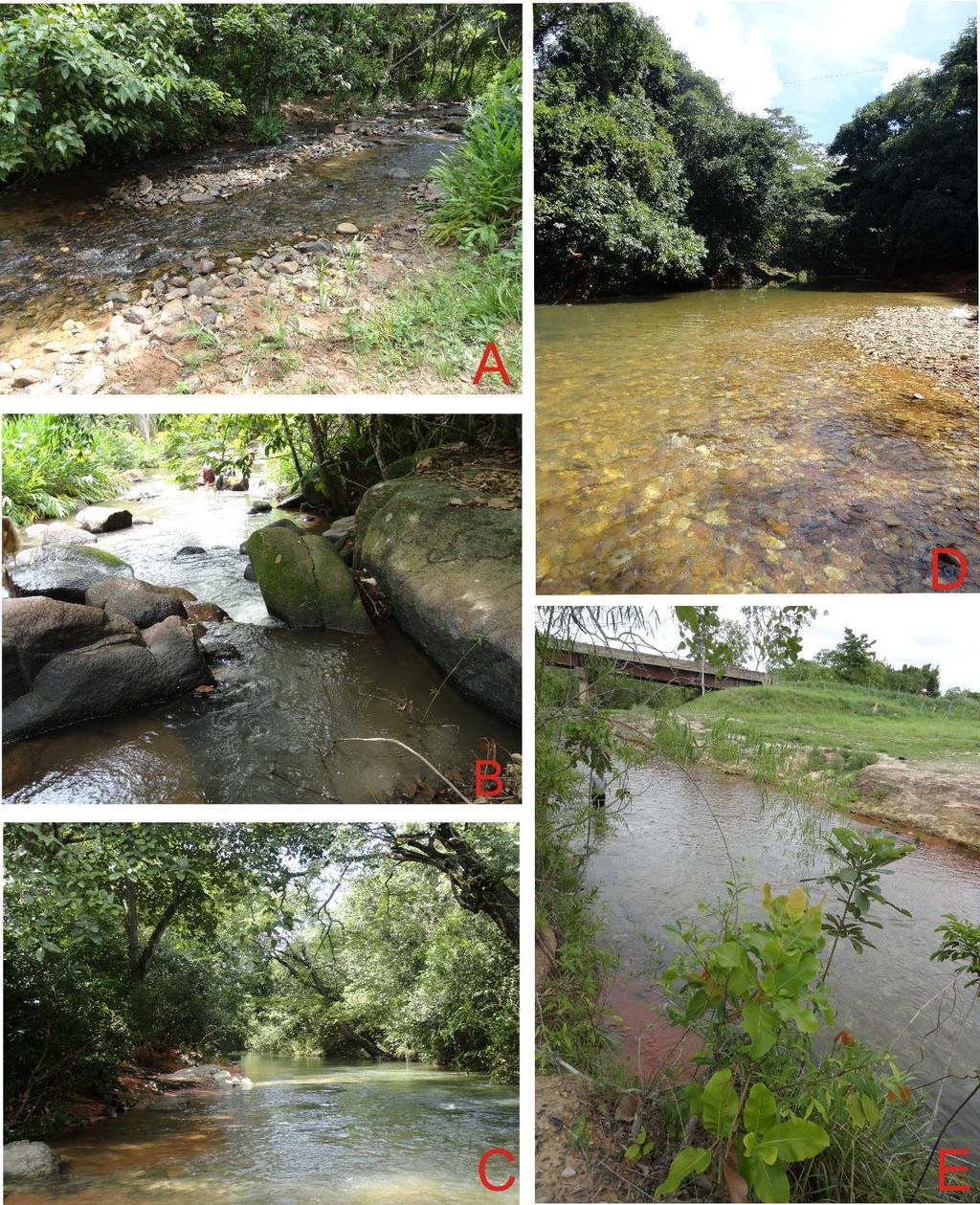 15 Figura 2. Córregos e rio em que as espécies foram coletadas.