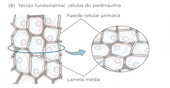 Sistemas de