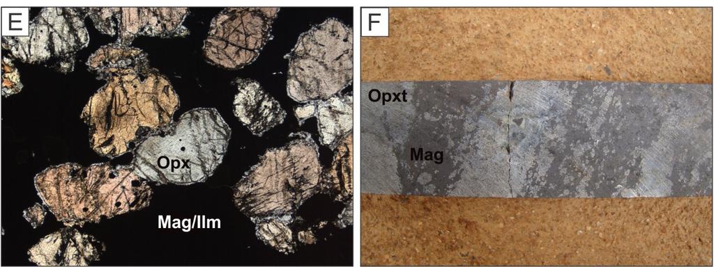 plagioclase (whitish mineral) in orthopyroxenite; D) Detail of corona of garnet between orthopyroxene (Opx) crystals.