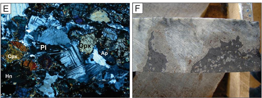 The intercalated white bands are composed by plagioclase; D) Core sample of leuconorite.