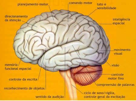 QUAL É A CAPACIDADE DO SEU CÉREBRO?