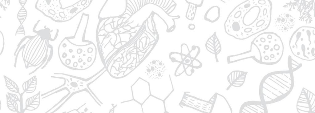 ÁCIDOS NUCLEICOS ÁCIDOS NUCLEICOS, DNA e RNA, são moléculas que contêm as instruções de como fazer o organismo.