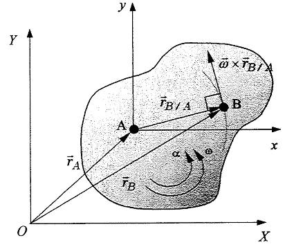 49 características: Não são curvas paralelas, portanto o movimento não é puramente de translação; Não são círculos concêntricos, portanto o movimento não é de rotação em torno de um eixo fixo.