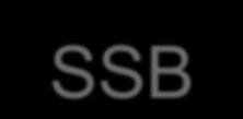 Replicação Segundo passo: Proteínas SSB de ligam ao DNA unifilamentar evitando que de enrole novamente ou forme pontes ou gaps.