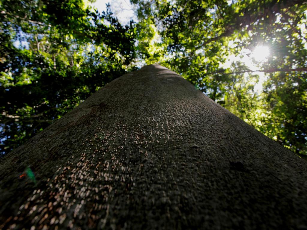 Que contribuições positivas um Plano de Manejo