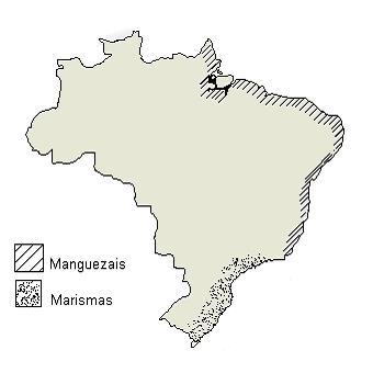 1.Marisma é uma espécie de zona úmida com solo rico em minerais. As marismas são muito semelhantes aos pântanos.