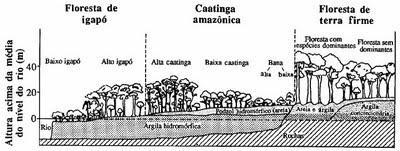 Distribuição das