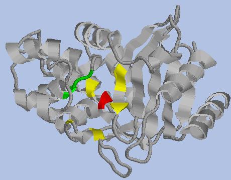 Definição de beta-lactamase É uma enzima produzida por alguns gram-positivos