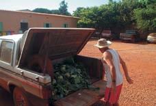 Muitas vezes, há atraso na chegada do caminhão da Cooperativa e as hortaliças ficam expostas ao sol e ao vento até