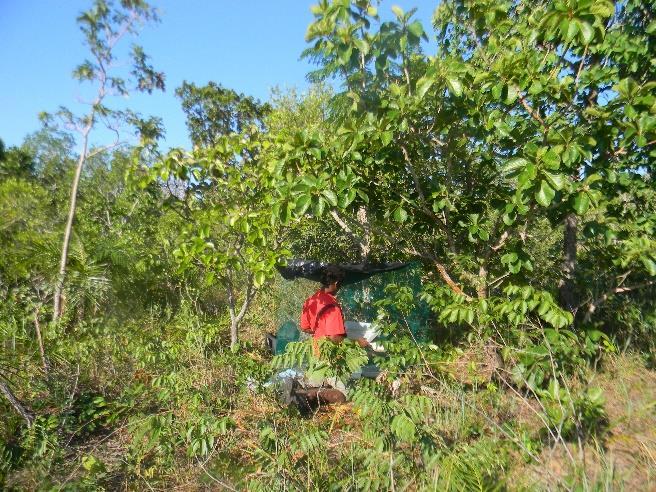 Os pesquisadores não acampam nessa área de 