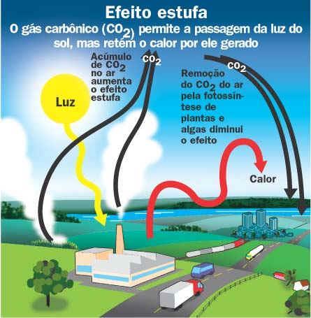 Efeito Estufa Aquecimento da atmosfera Derretimento dos pólos; Elevação do nível do mar; Redução do índice de chuvas (pluviométrico), mais secas;