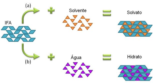 meio de interações intermoleculares (ligações de hidrogênio, van der Walls, dipolo-dipolo); ele pode ser fisicamente aprisionado pelo