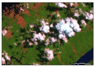 Tabela1 Órbita-Ponto das cenas Landsat 5 TM utilizadas no mapeamento com as suas respectivas datas de imageamento.