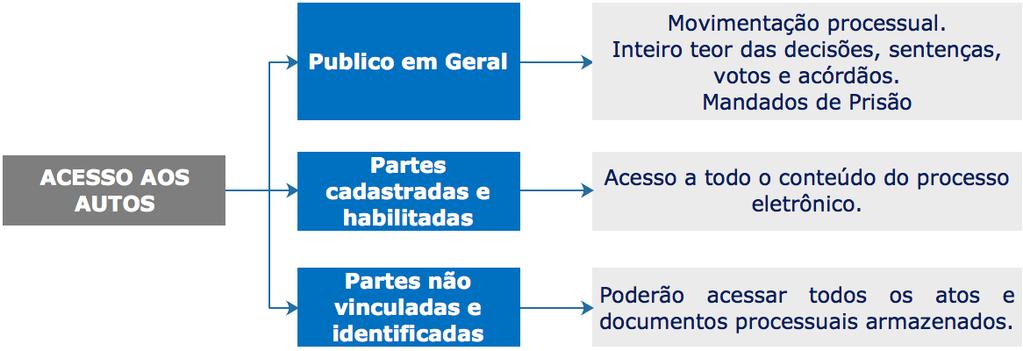 Não custas lembrar que os processos que tramitam no sistema de processamento eletrônico do Tribunal de Justiça do Estado de São Paulo, em segredo de justiça, só poderão ser consultados pelas partes e