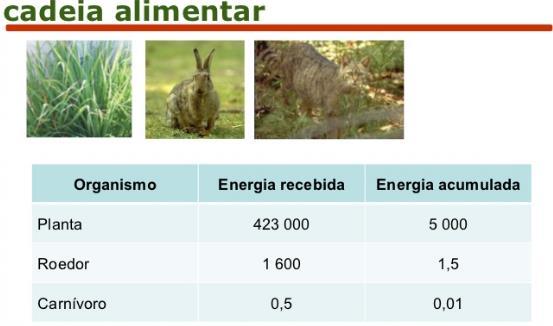 TRANSFERÊNCIA DE ENERGIA E QUANTIDADE DE ENERGIA A QUANTIDADE DE ENERGIA DISPONÍVEL DIMINUI À MEDIDA QUE É TRANSFERIDA DE UM NÍVEL TRÓFICO