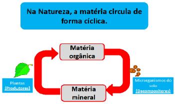 COMO OCORRE A TRANSFERÊNCIA